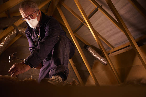 Best Cellulose Insulation  in Ruston, WA